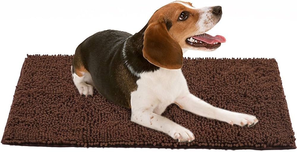 Dónde encontrar la mejor alfombra para perros que orinan