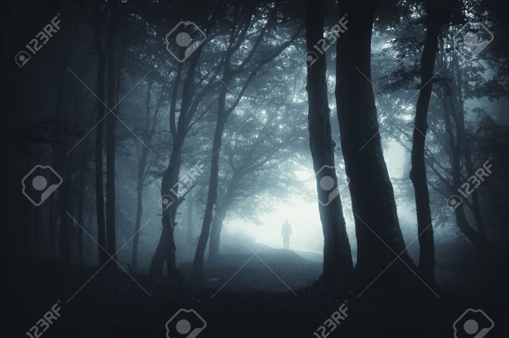 Qué es el Proyecto Bruja de Blair y por qué se volvió tan famoso