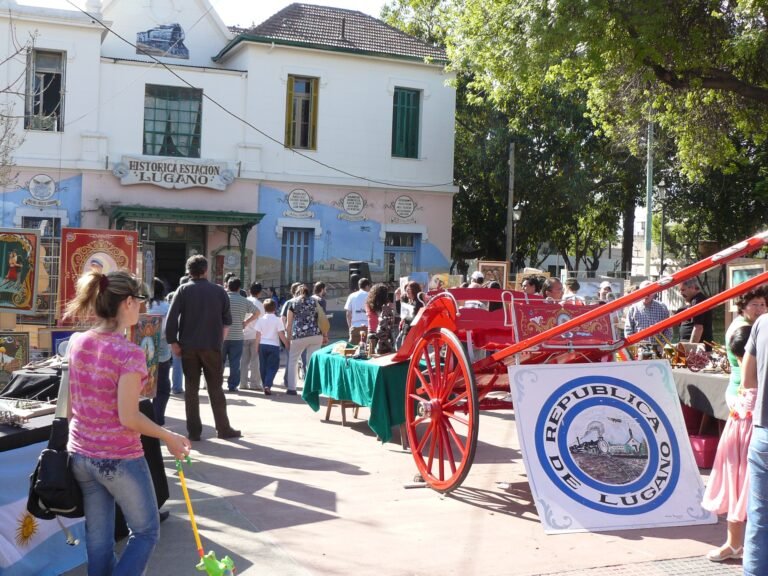 Cómo tender correctamente una calesita para secar ropa 28 calesita de ropa en un jardin soleado