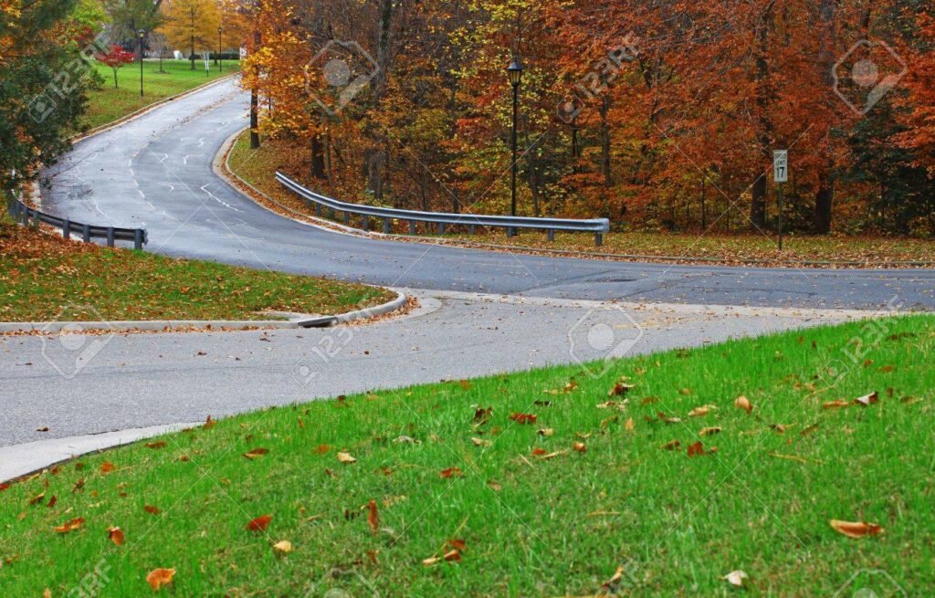 Qué significa "más allá de la vida" en diferentes culturas y creencias 5 Qué significa “más allá de la vida” en diferentes culturas y creencias