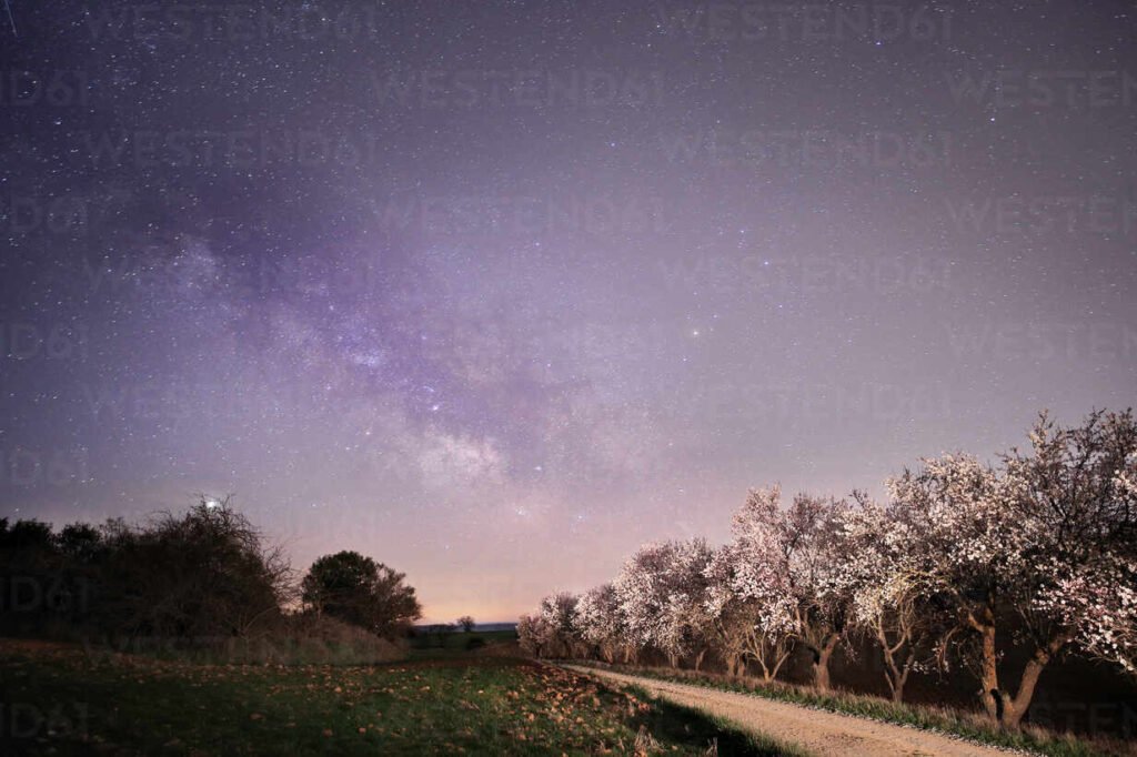 Qué significa “Bajo la luz de las estrellas” en la poesía y la música