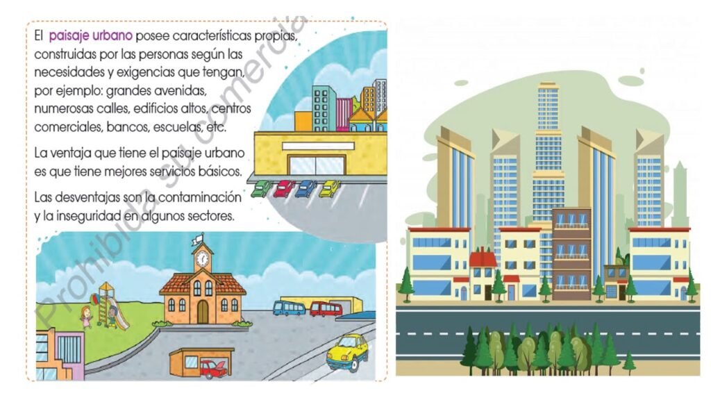 Qué diferencias y similitudes existen entre paisaje rural y urbano