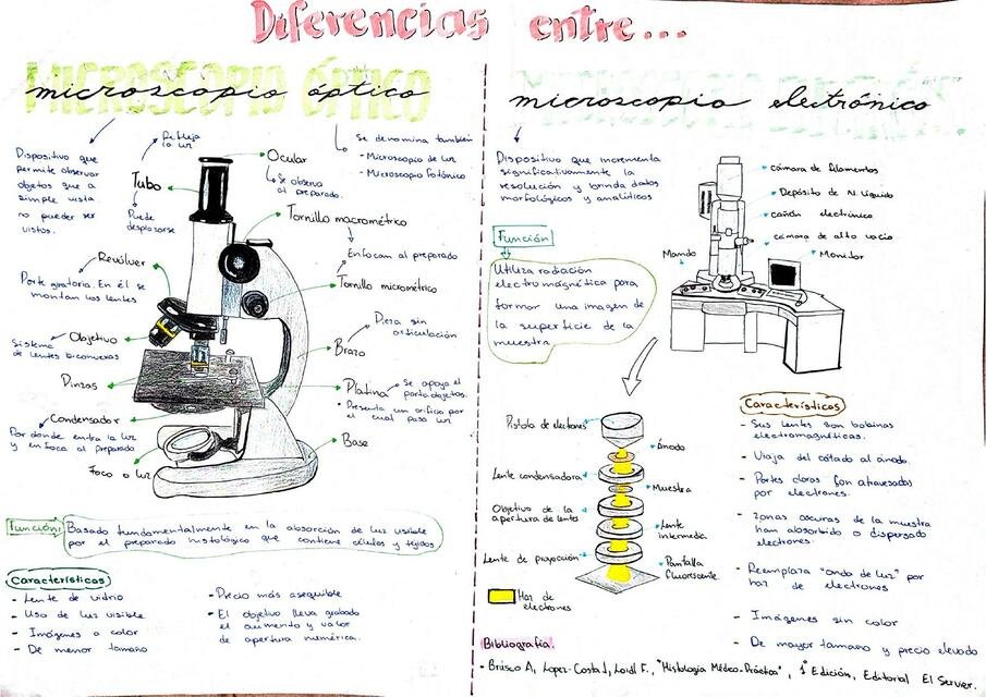 Qué diferencias hay entre un microscopio óptico y uno electrónico
