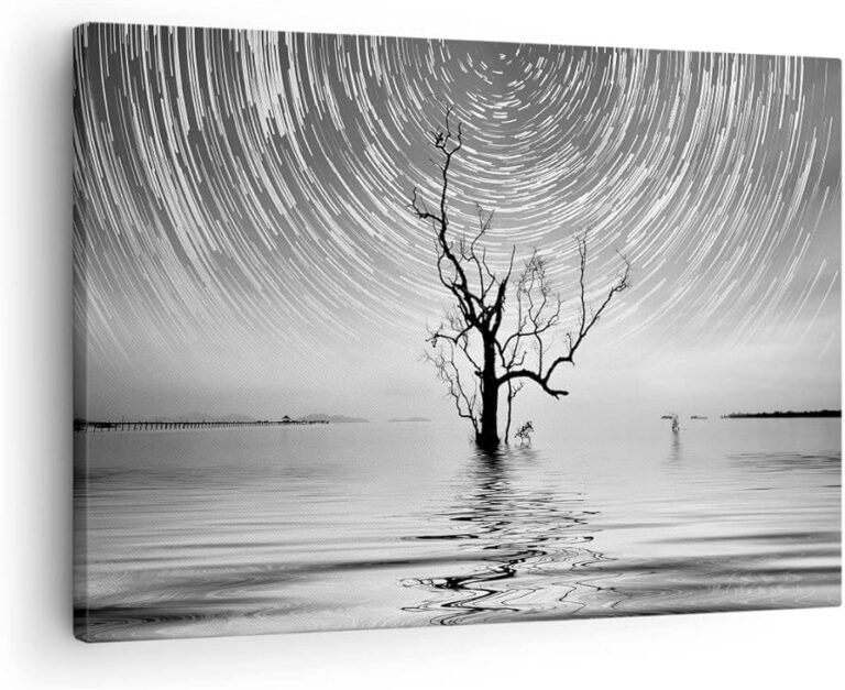 Cómo hacer cuadros en blanco y negro fáciles para decorar tu hogar 23 cuadros en blanco y negro decorativos