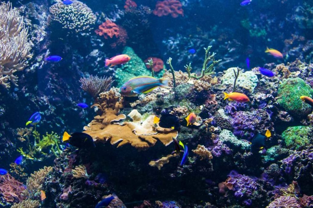 Qué Es un Ecosistema Definición Simple para Niños Explicada 6 Qué Es un Ecosistema Definición Simple para Niños Explicada