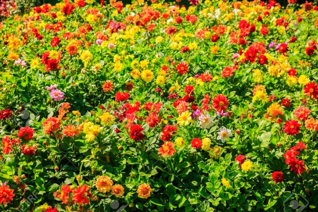 Cómo el cuento “Todos somos diferentes” enseña la diversidad