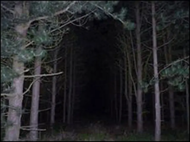 Qué historia real inspiró la película Fuego en el cielo