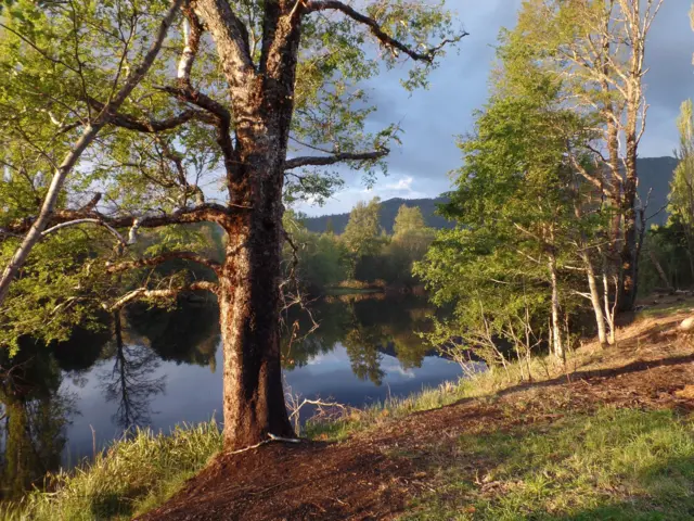 Qué significa “Un reflejo de ti” en el contexto de la autoexploración