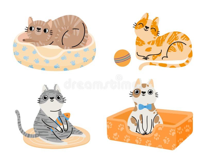 Es normal que mi gatito tenga un comportamiento tan salvaje