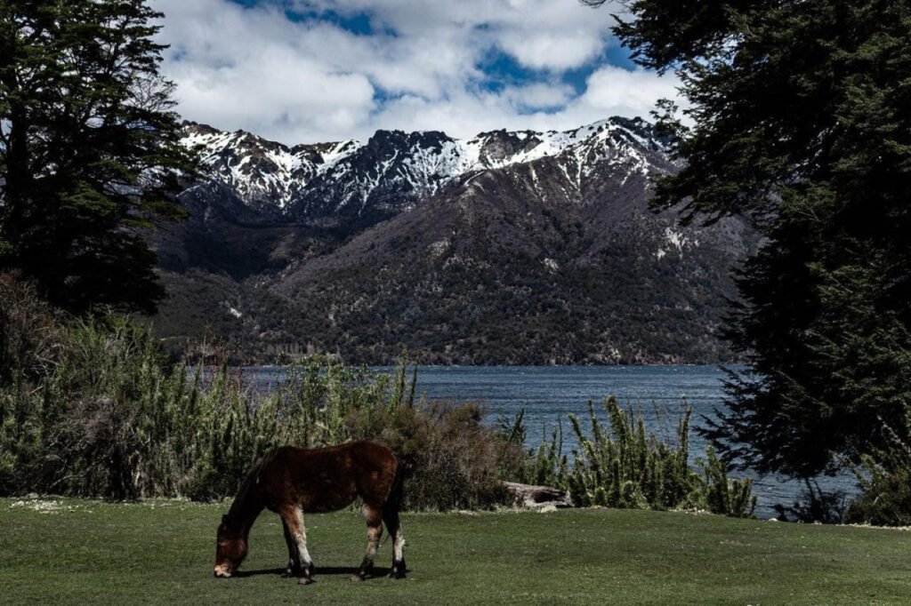 lago y montanas en neuquen