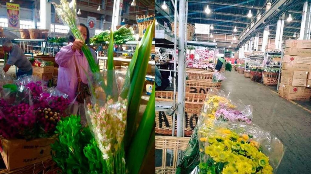 Dónde encontrar el mejor tour de compras a Flores desde Santa Fe