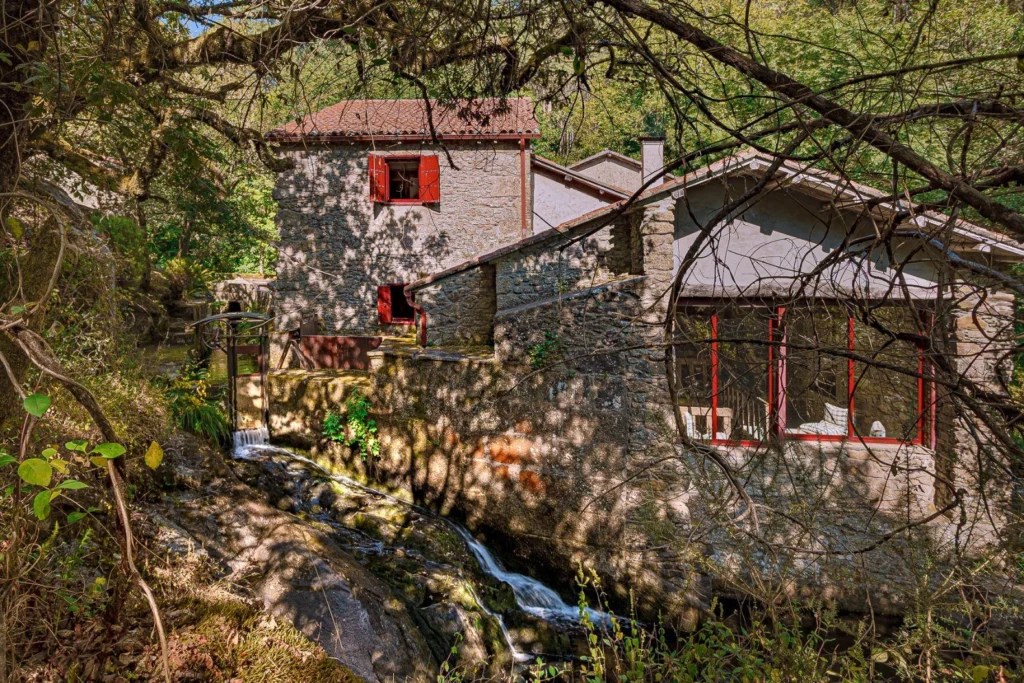 Dónde puedo comprar un molino de piedra para hacer harina casera