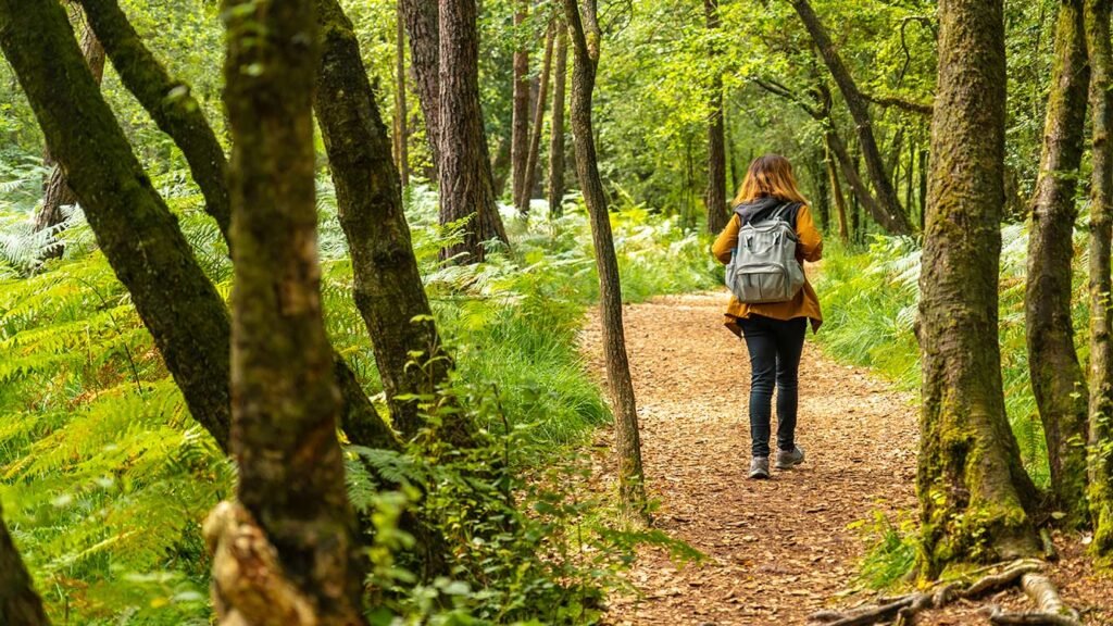 Qué actividades se pueden realizar en el camping Villa Las Rosas 1 naturaleza y actividades al aire libre