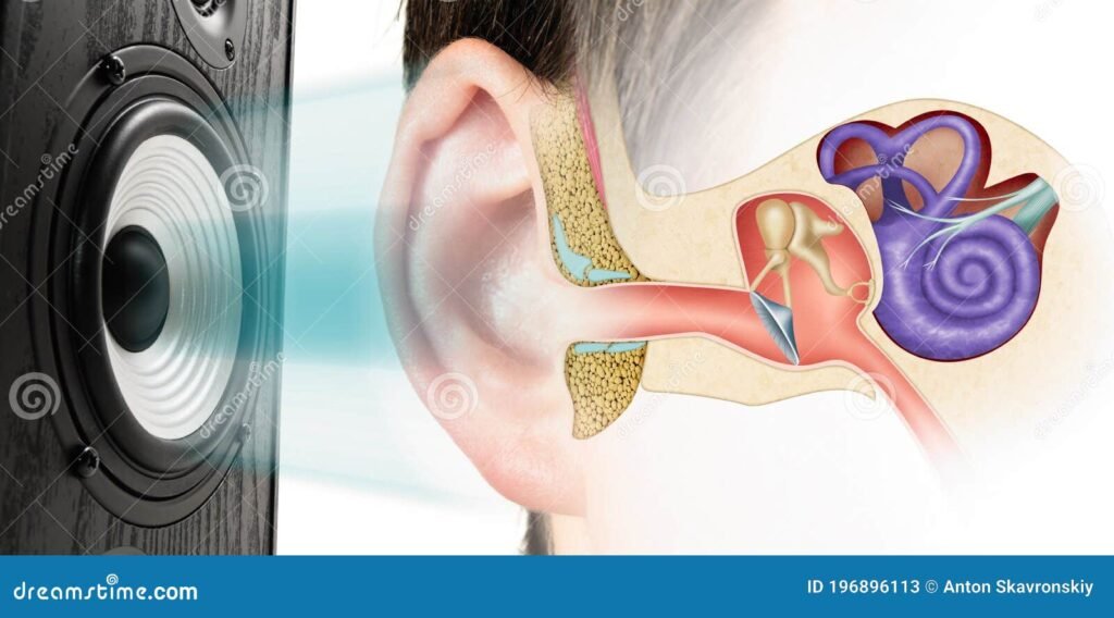 Dónde puedo escuchar el audio de “Hay alguien aquí con vida”