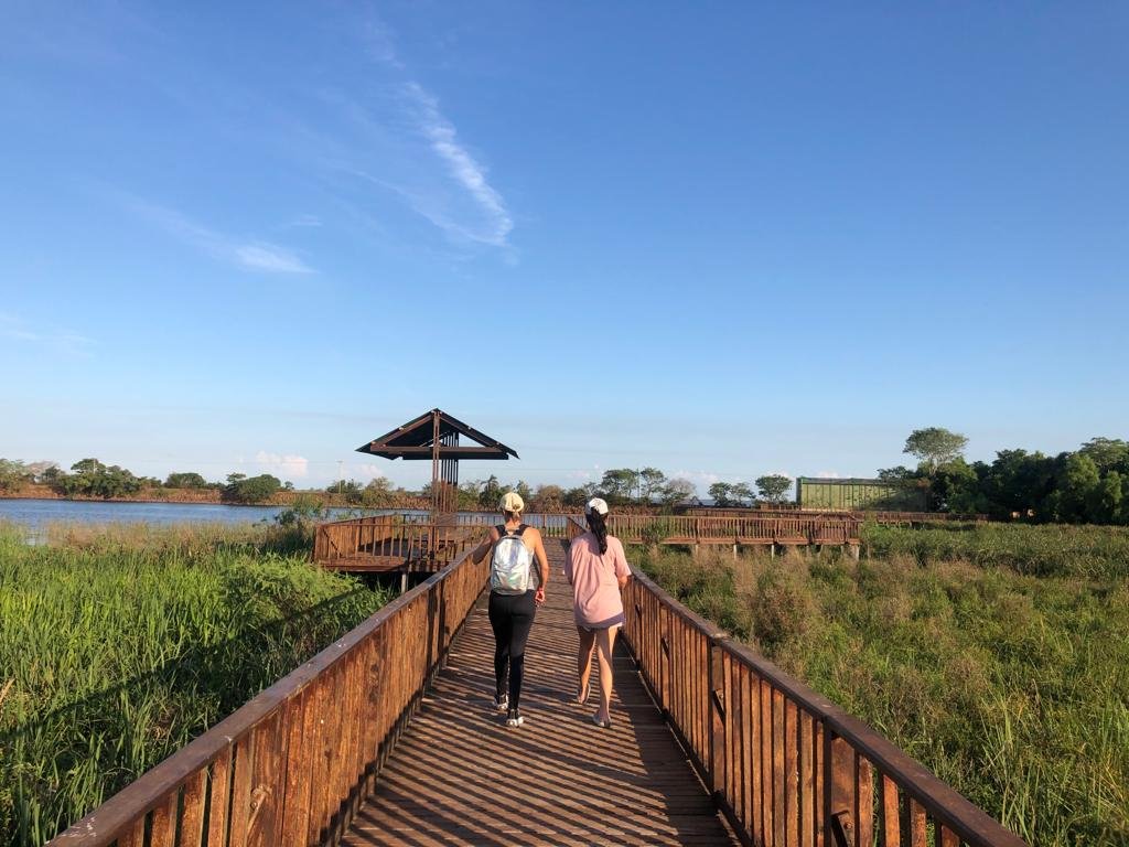 paisaje natural de carlos pellegrini corrientes