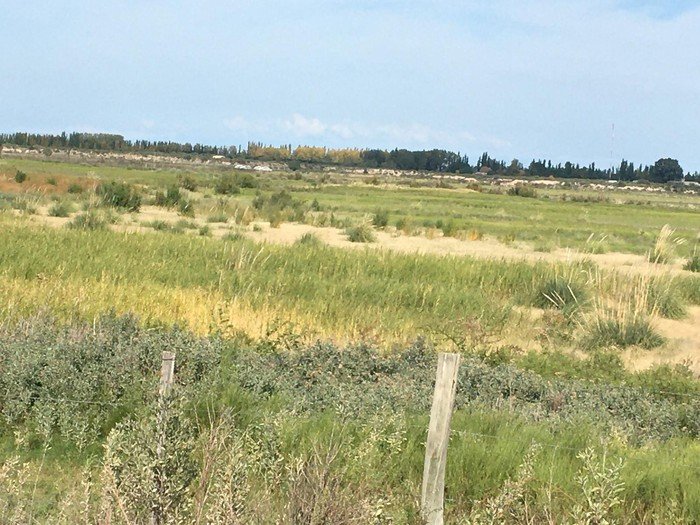 Cuál es el clima actual en Real del Padre, Mendoza