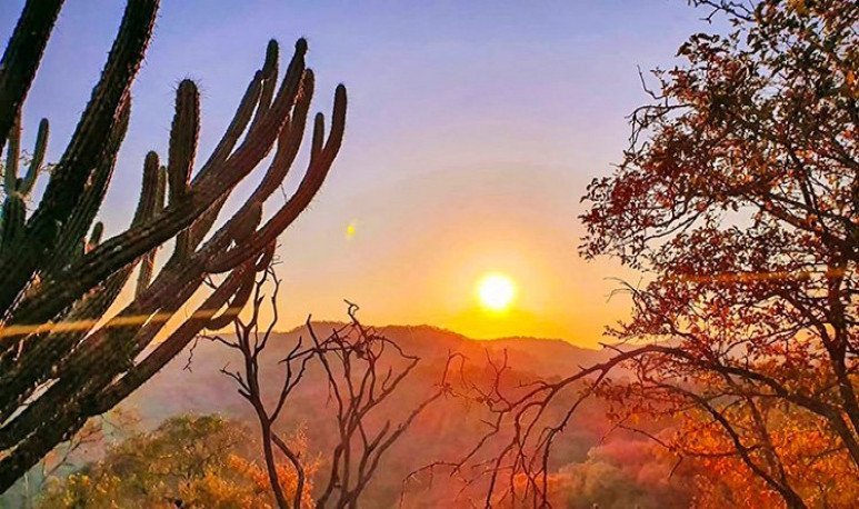 Qué lugares turísticos y actividades hay en Santiago del Estero