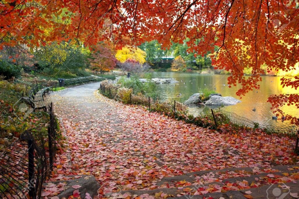 Qué actividades imperdibles hay en otoño en Nueva York