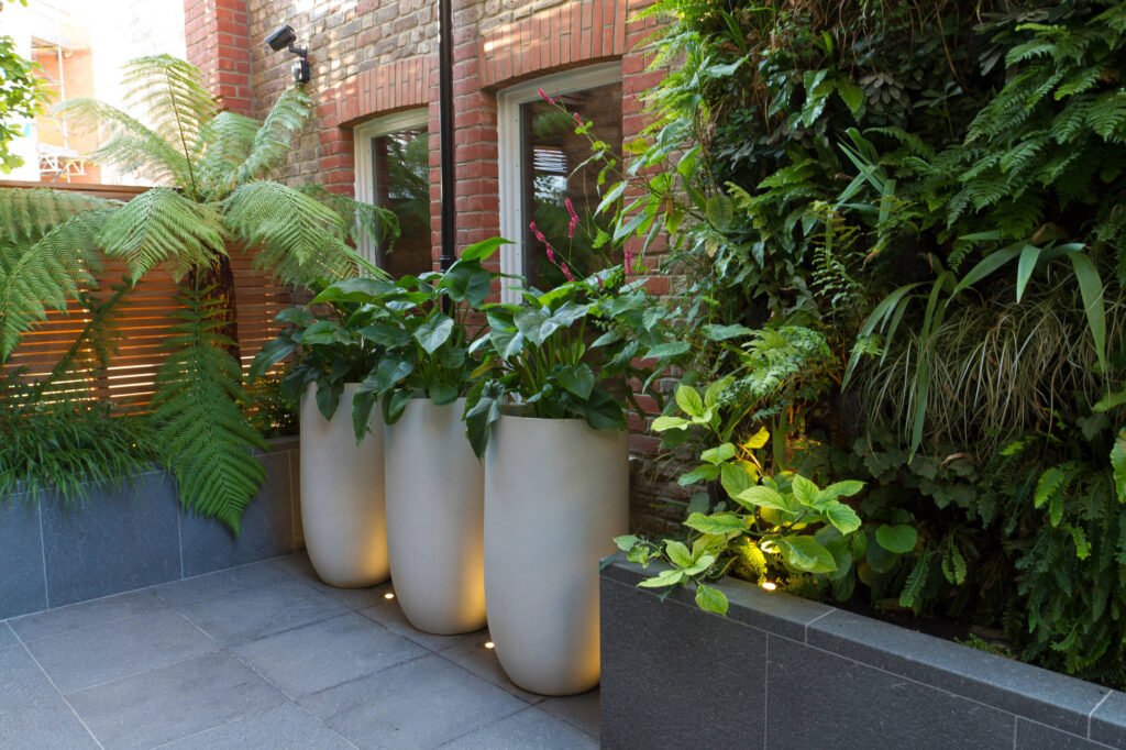 Qué plantas son ideales para cultivar en macetas grandes 6 Qué plantas son ideales para cultivar en macetas grandes