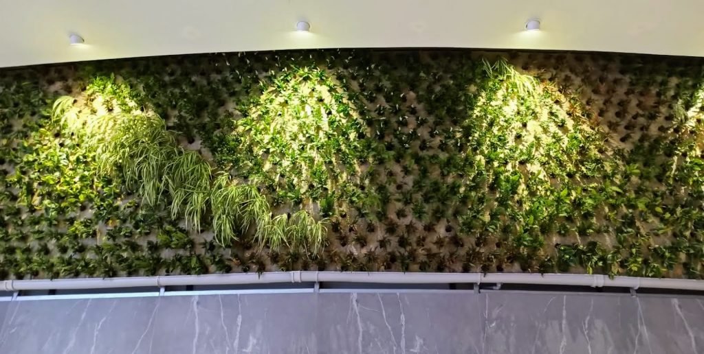 Qué plantas de buena suerte atraen energía positiva a tu hogar