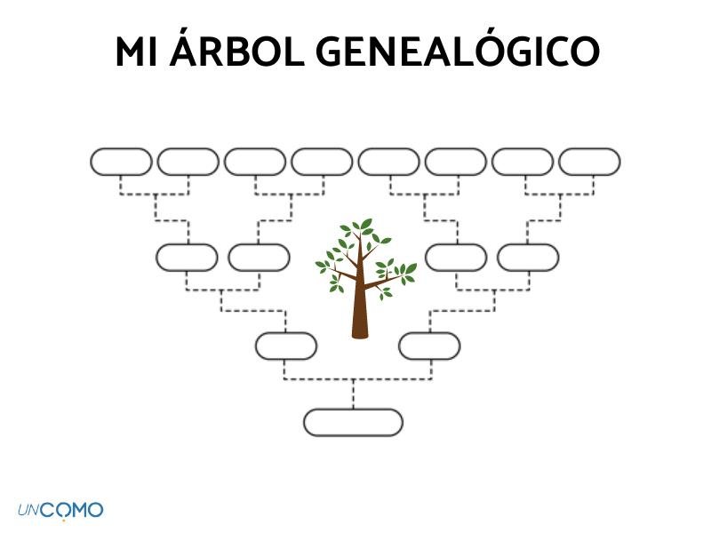 Cómo crear una plantilla de árbol genealógico en Word fácilmente 1 plantilla de arbol genealogico en word