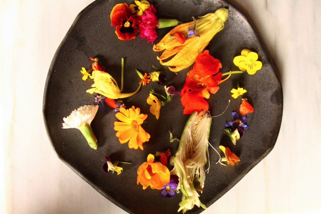 Cuál es el mejor plato hondo para servir viandas en casa