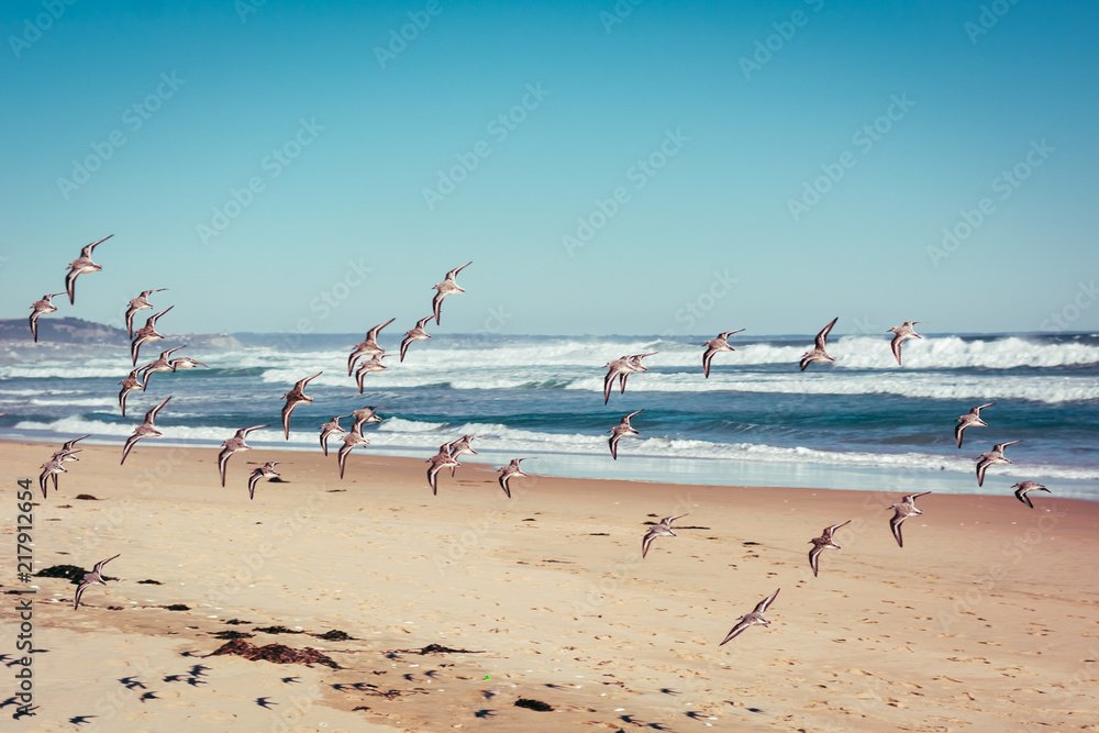 Dónde se encuentra la playa de arena de mar Las Gaviotas 8 Dónde se encuentra la playa de arena de mar Las Gaviotas