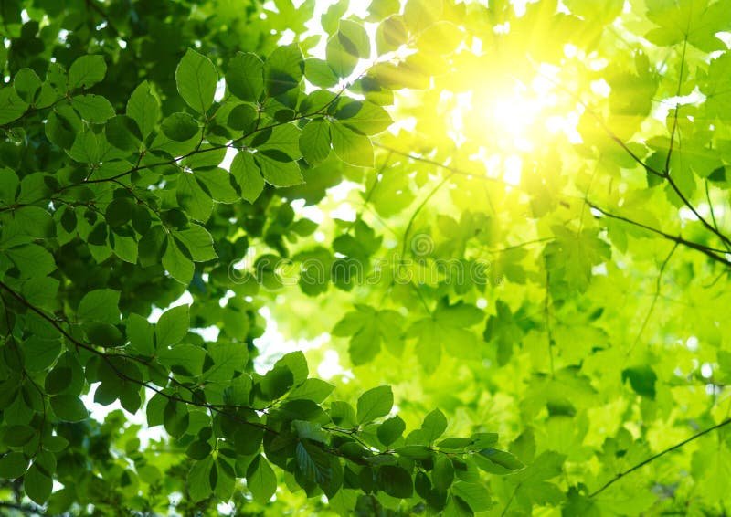 Qué Frases Inspiradoras Pueden Ayudarte a Vivir Un Día a La Vez 7 Qué Frases Inspiradoras Pueden Ayudarte a Vivir Un Día a La Vez