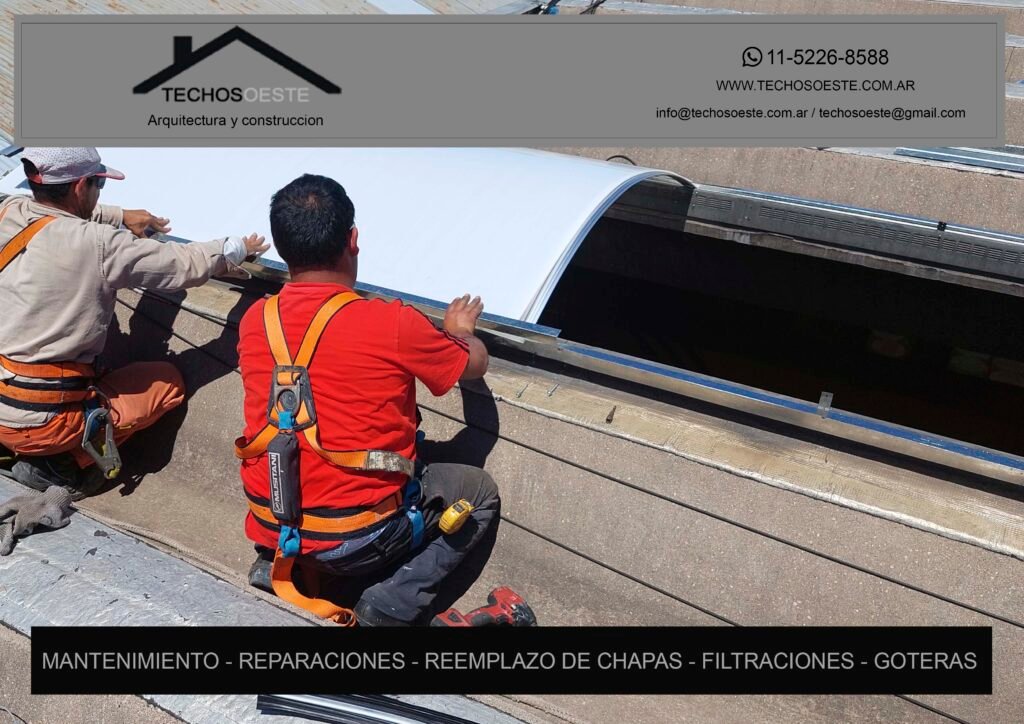 Qué servicios ofrece Bernardo Lew e Hijos en Argentina