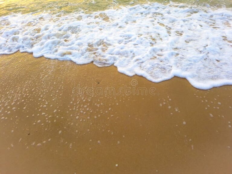 Cuáles son las características y usos del color arena blanca alba 12 textura suave de arena blanca en la playa