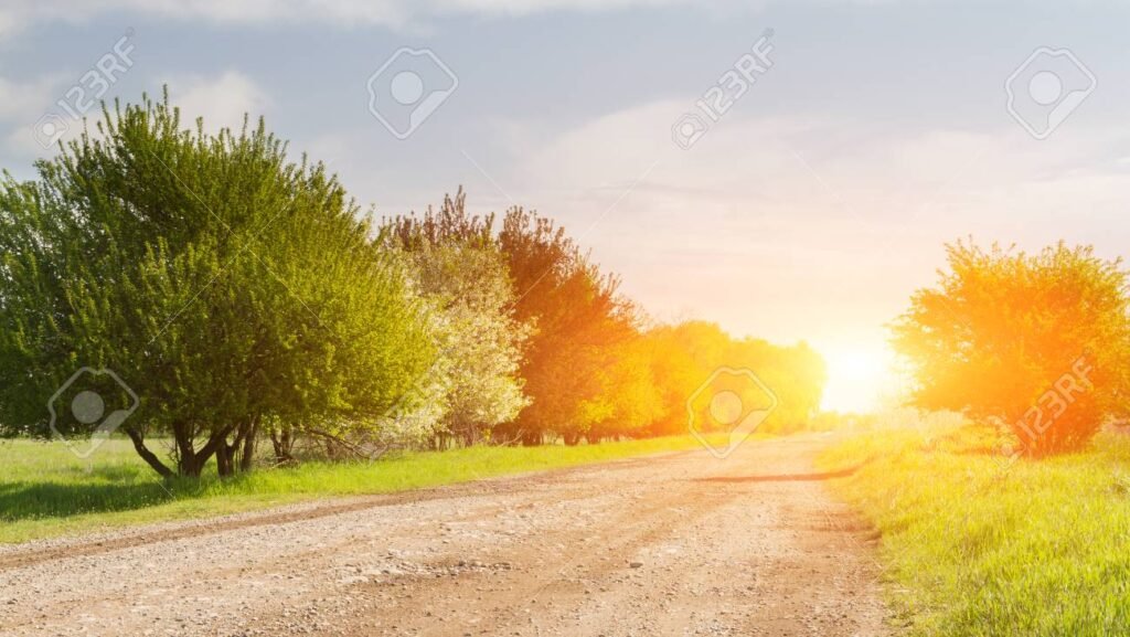 Y de pronto un día de suerte puede cambiar tu vida para siempre 1 un amanecer brillante sobre un camino