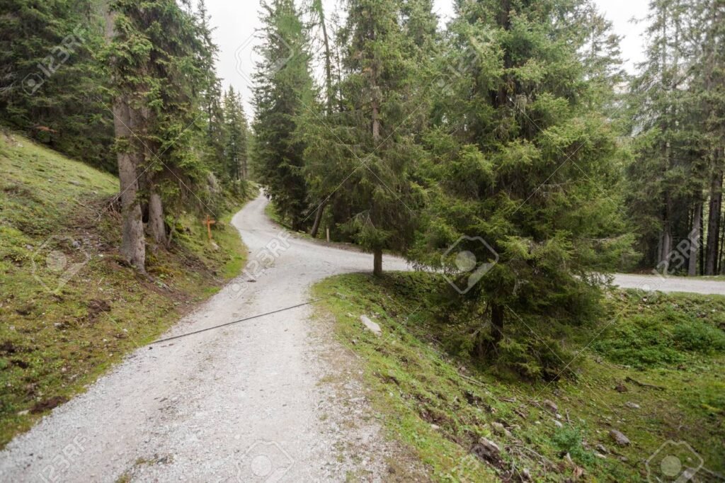 Debería quedarme o marcharme Consejos para tomar la decisión correcta