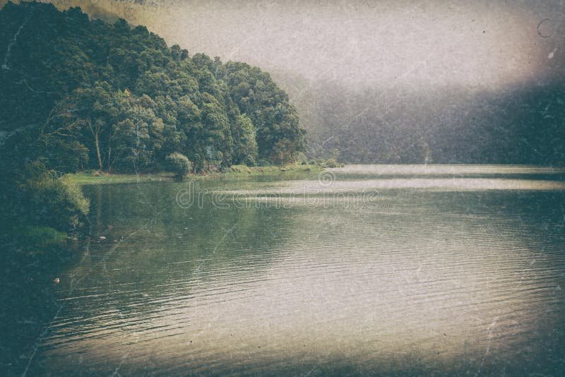 Por qué “Oh My Darling, Clementine” es una canción tan popular