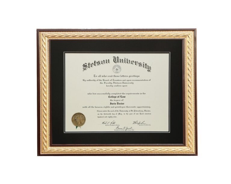 variedad de marcos elegantes para diplomas