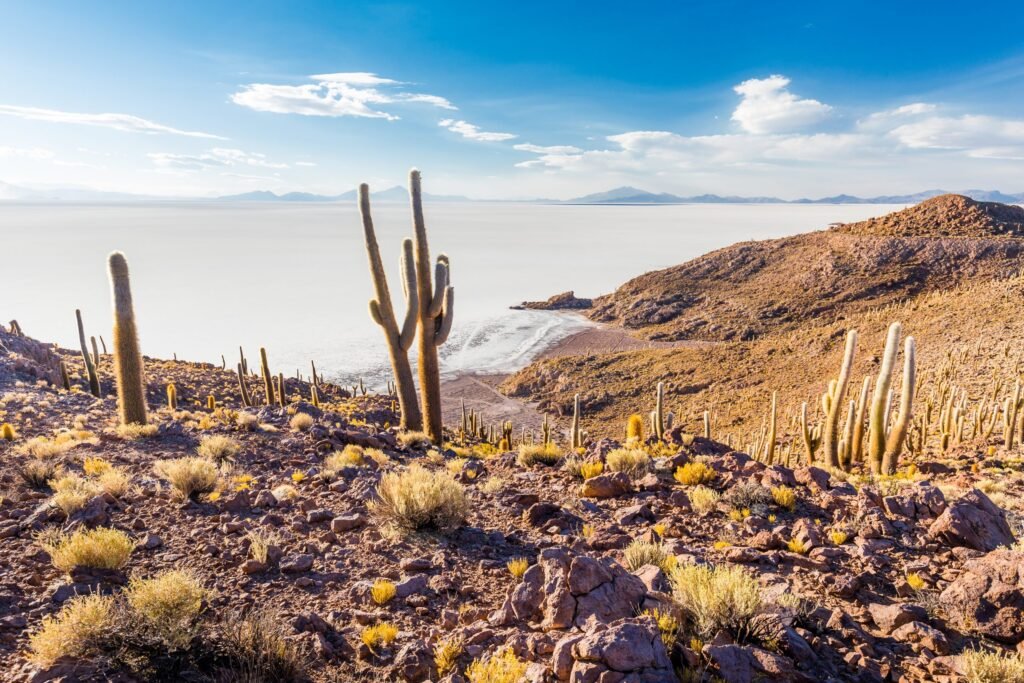Cómo llegar al Salar de Uyuni en Bolivia y qué visitar